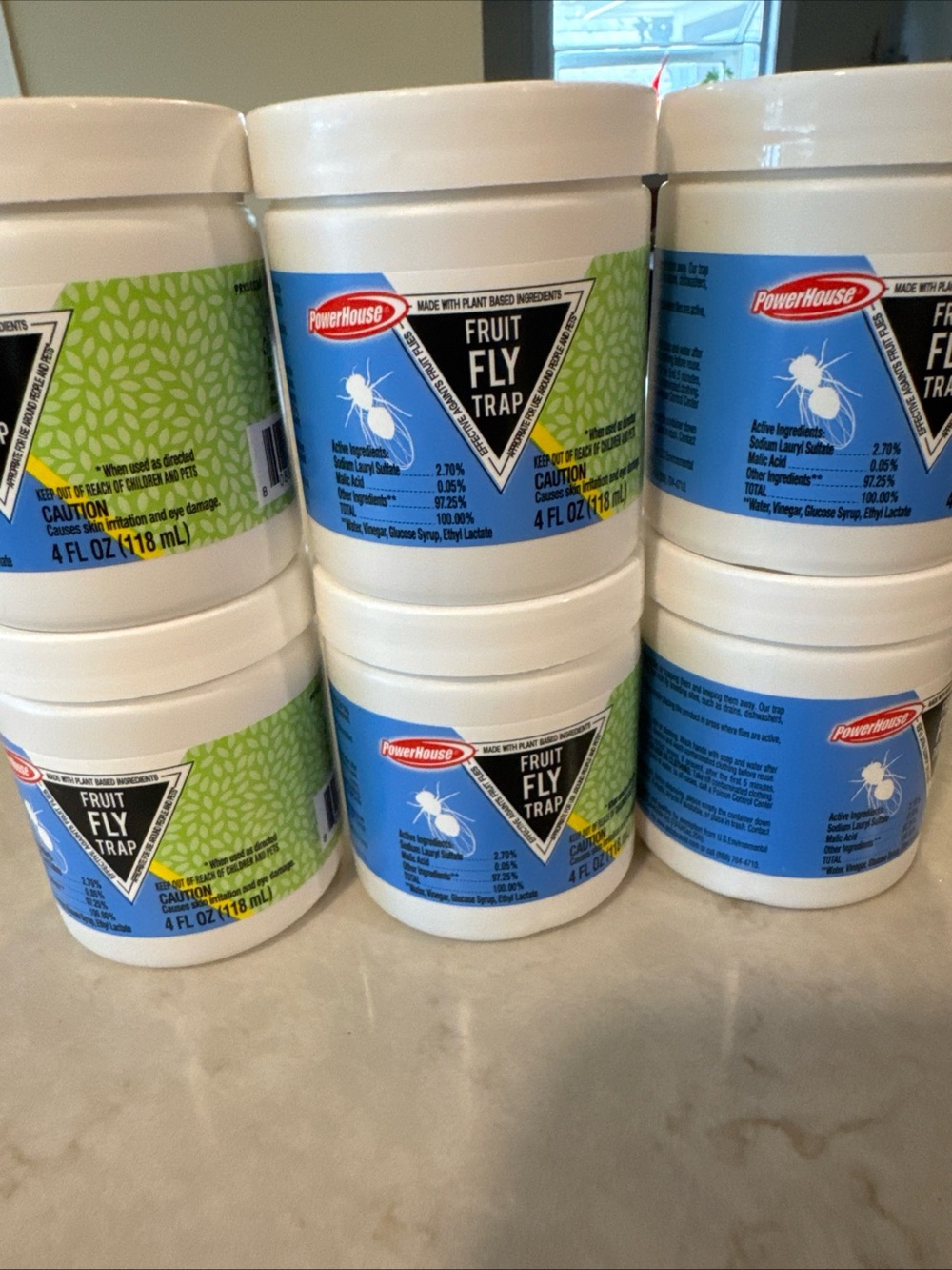 Fruit Fly Trap -six traps